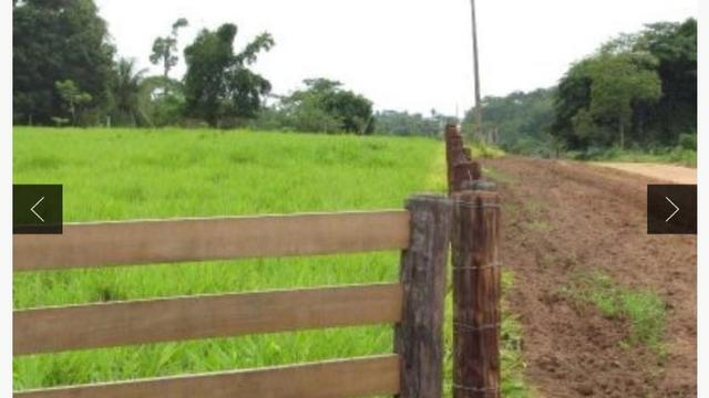 Sítio com estrutura de Fazenda - Foto 10