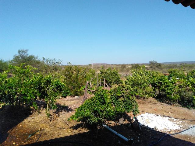 Chácara - Foto 2