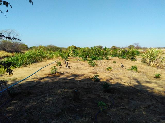 Chácara - Foto 5
