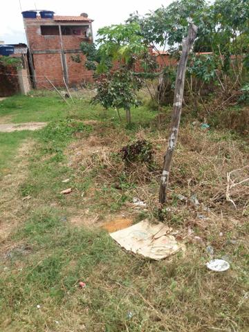 Vendo terreno no residencial paraiso - Foto 2