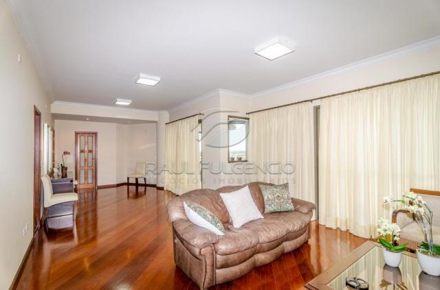 Apartamento para alugar com 4 dormitórios em Caicaras, Londrina cod:L4346 - Foto 11