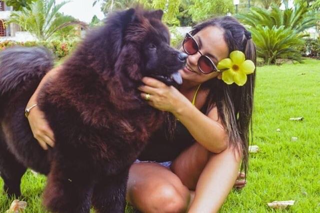 Vendo filhote de chow chow - Foto 6