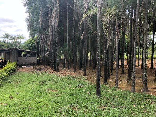 Fazenda em Bela Vista de Goiás de 15 Alqueires, à 45 km de Goiânia Dentro da Cidade - Foto 16