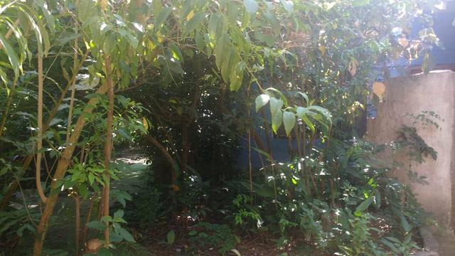 G Cód 275 Maravilhoso Sítio em Búzios!!! - Foto 8