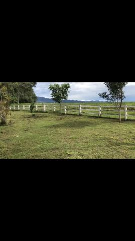 Fazenda em Rosário Oeste 1.460 hectares á venda - Foto 8
