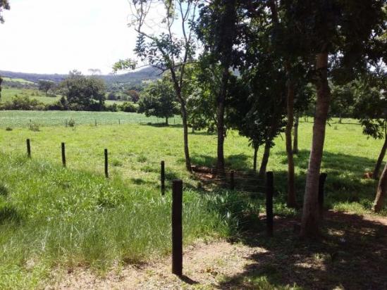 Fazenda toda formada de 5 alqueires no sapé - Foto 2
