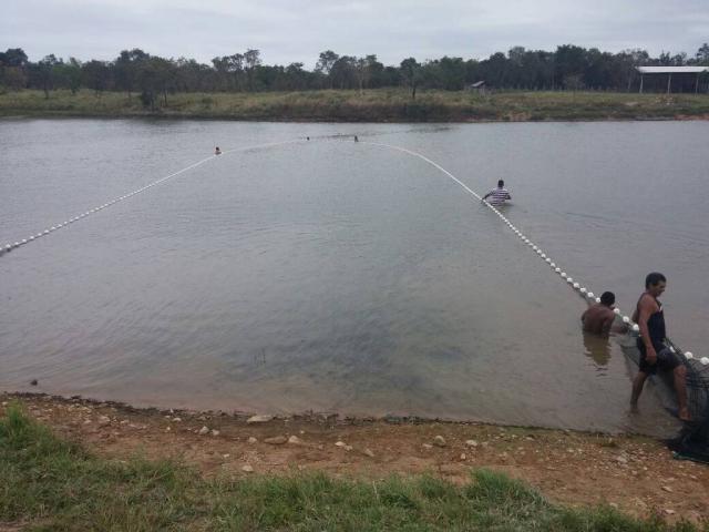 Chácara à venda em Zona rural, Cuiaba cod:20802 - Foto 7