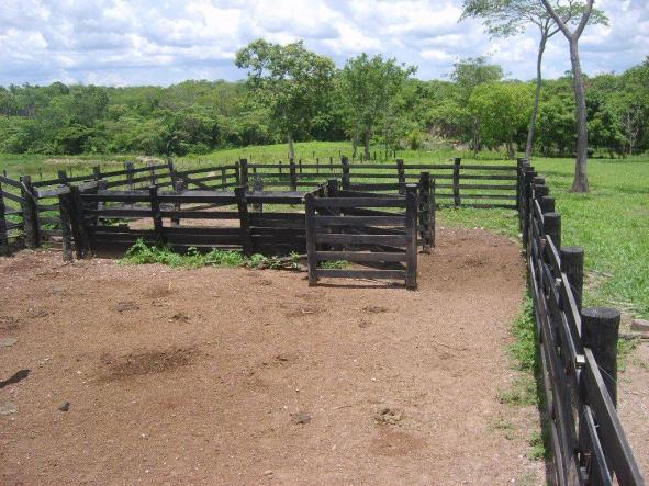 Chácara à venda em Zona rural, Nossa senhora do livramento cod:21342 - Foto 9