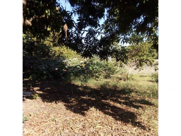 Loteamento/condomínio à venda em Lixeira, Cuiaba cod:21575 - Foto 3