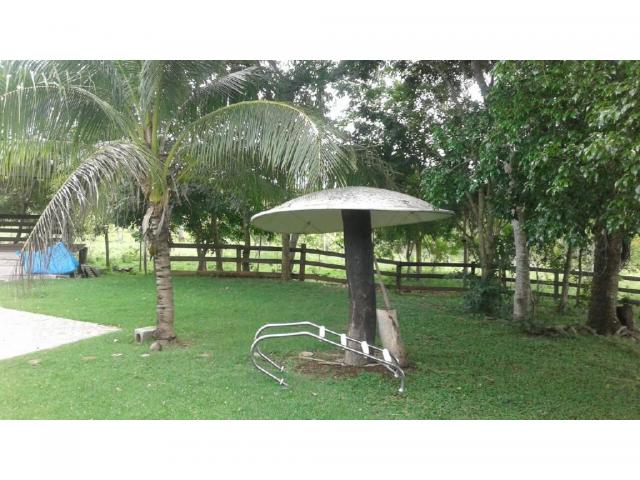 Chácara à venda em Zona rural, Cuiaba cod:21259 - Foto 10