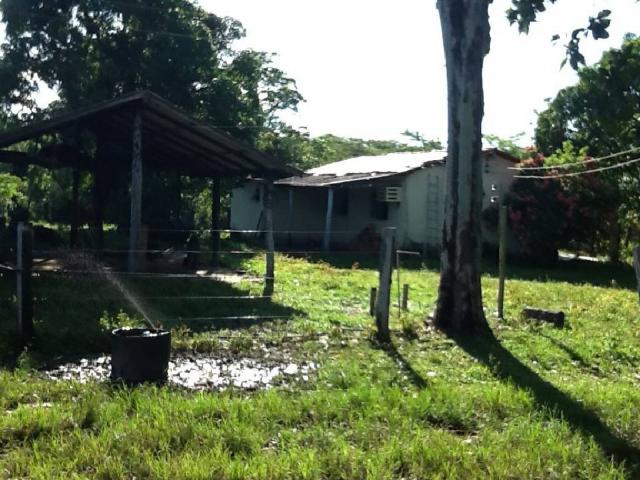 Chácara à venda em Zona rural, Nossa senhora do livramento cod:21342 - Foto 5