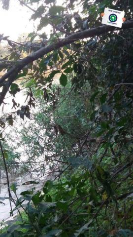 Pesqueiro em barao de melgaço - Foto 11