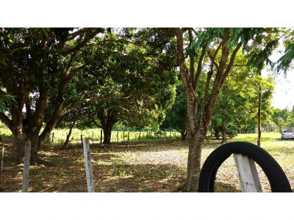 Chácara à venda em Zona rural, Acorizal cod:19544 - Foto 2