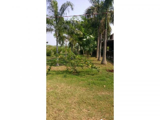 Chácara à venda em Rural, Santo antonio de leveger cod:20677 - Foto 2