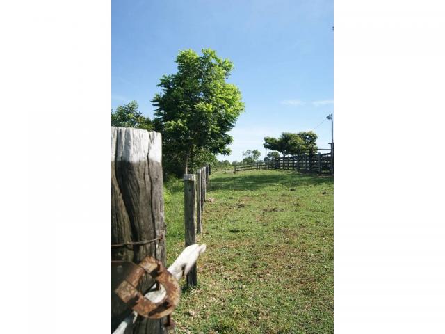 Chácara à venda em Zona rural, Cuiaba cod:20985 - Foto 15