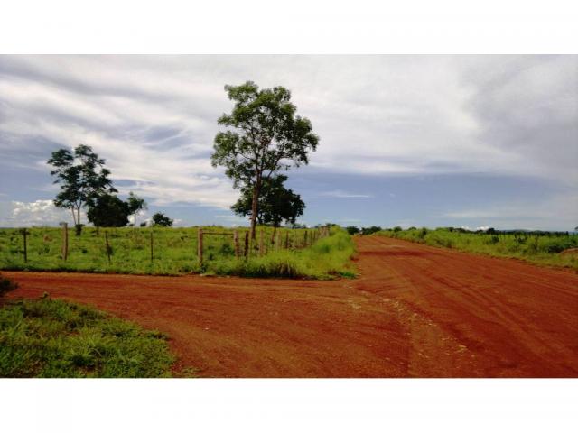 Chácara à venda em Zona rural, Nossa senhora do livramento cod:13185 - Foto 4