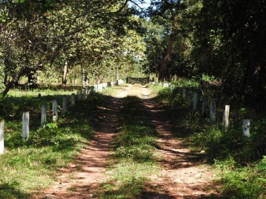 Chácara à venda em Estancia terra da gente, Cuiaba cod:14757 - Foto 7