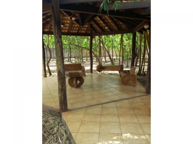 Chácara à venda em Parque piquizeiros, Santo antonio de leveger cod:20865 - Foto 11