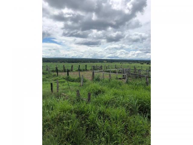 Chácara à venda em Rural, Nova mutum cod:22068 - Foto 17