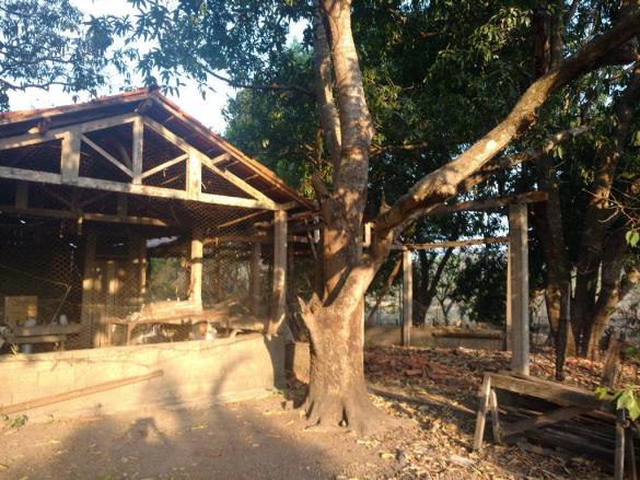 Chácara à venda em Zona rural, Cuiaba cod:20802 - Foto 4
