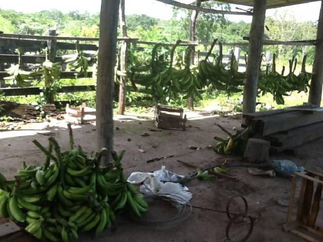 Chácara à venda em Zona rural, Nossa senhora do livramento cod:21342 - Foto 3