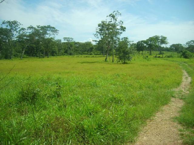 Chácara à venda em Zona rural, Nossa senhora do livramento cod:21342