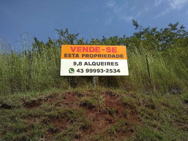 Sítio em Ibiporã-PR (na beira do asfalto) - Foto 9