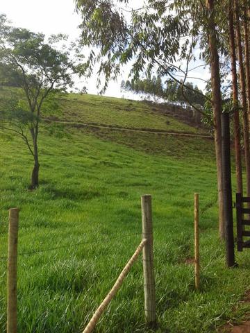 Fazenda 159,72 hectares - Leopoldina/MG; - Foto 18
