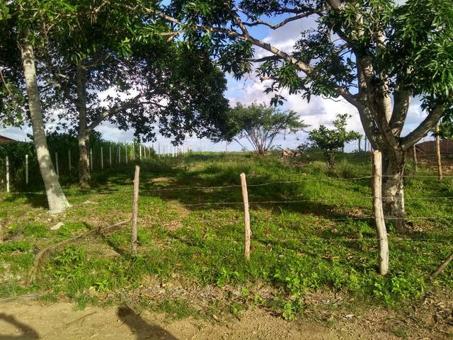 Terreno Em Pedra Branca - Foto 4