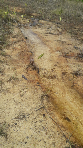 Terrenos para chácara antes de terra alta na PA 136 - Foto 7