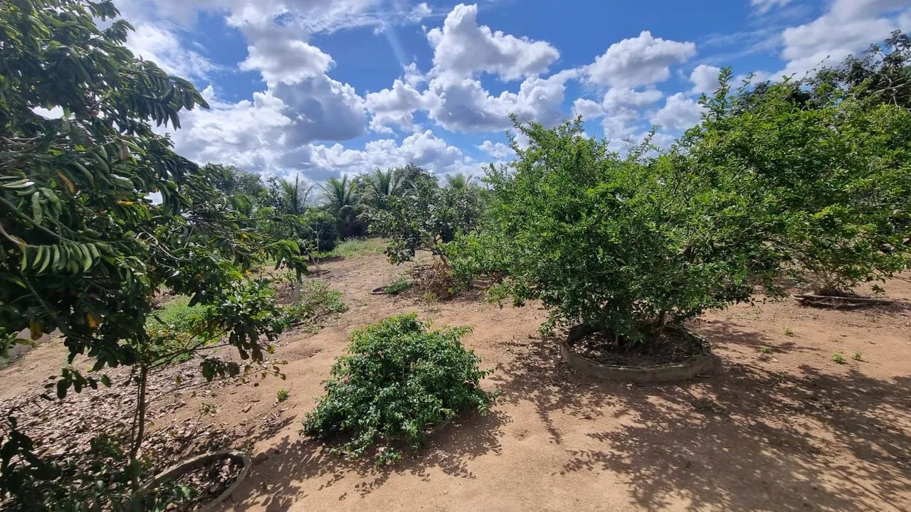Vendo uma excelente chácara 4/4 sendo três suítes com piscina - Foto 15