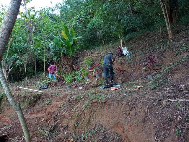 Ótima Oferta: Terreno Amplo Próximo à Natureza 6532 m2 - Foto 7