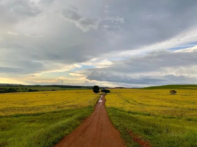 Fazenda de 260 alq em Corumbá-Go - Foto 4