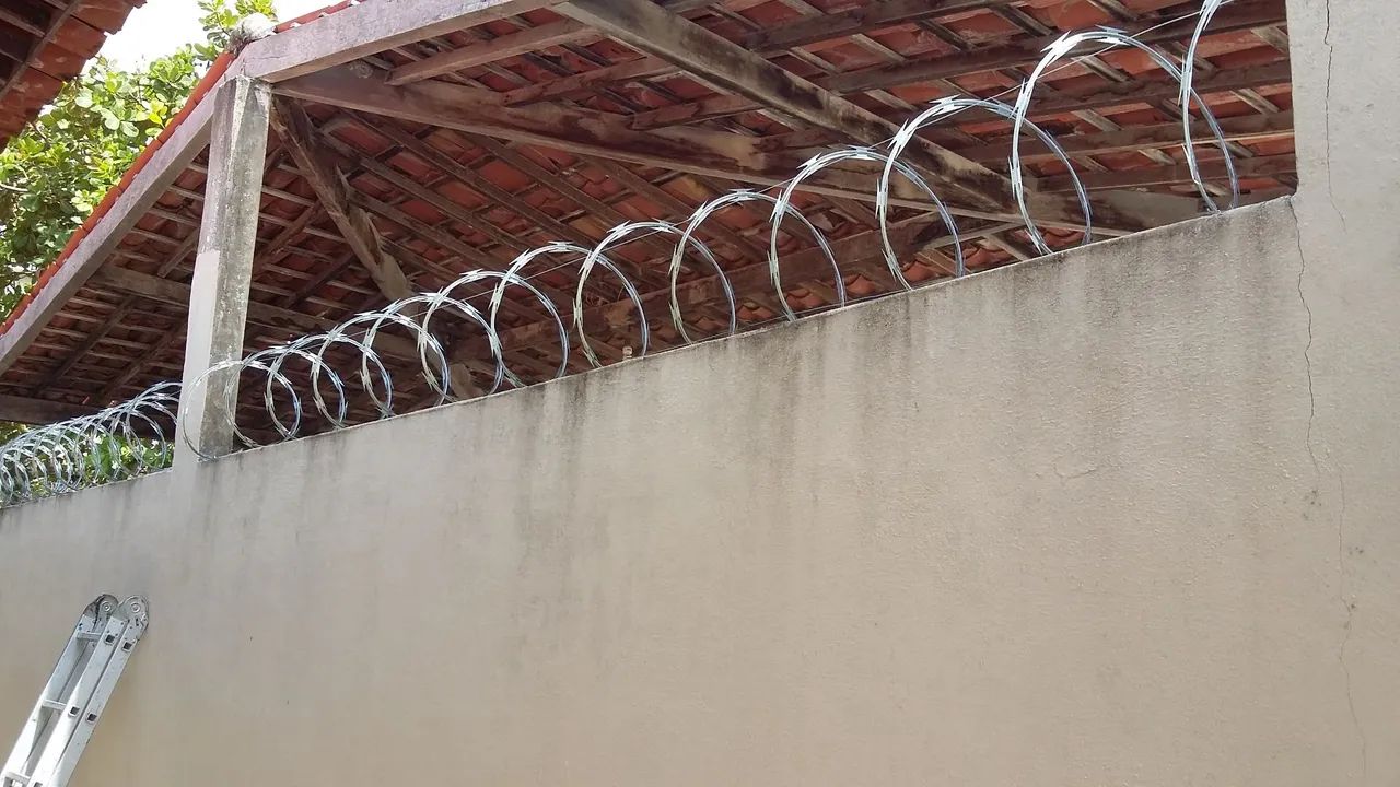 Concertina cobrimos propostas - Foto 2