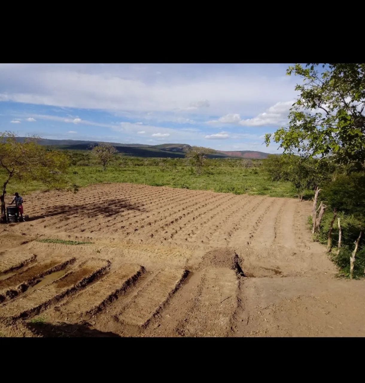 Fazenda 98 Tarefas Brejões-BA Excelente Terreno Oportunidade Negócio Rural roça - Foto 3