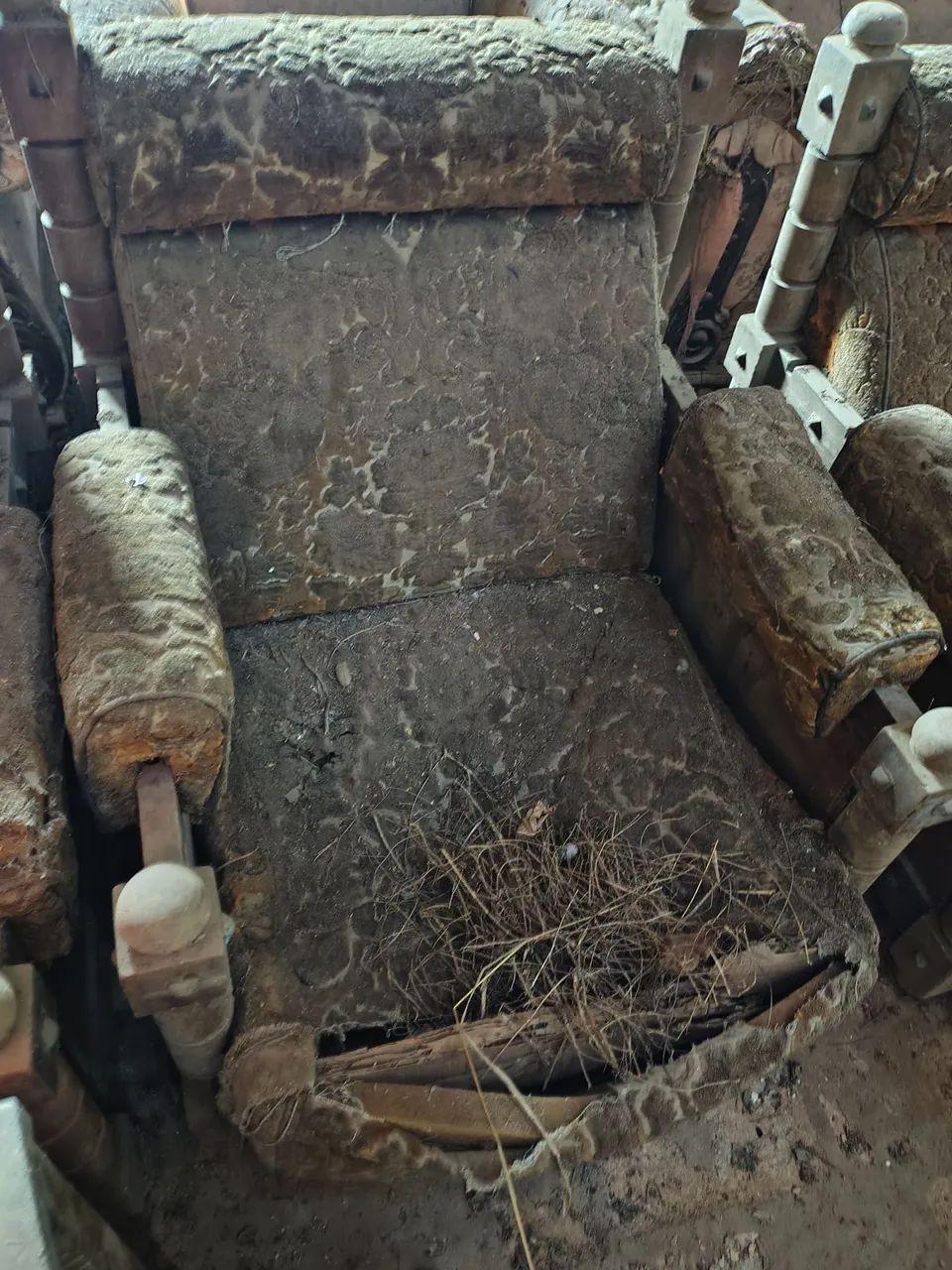 Conjunto de Sofás e Poltronas Antigas - Estrutura em Madeira de Lei para Restauro477339687207587843
