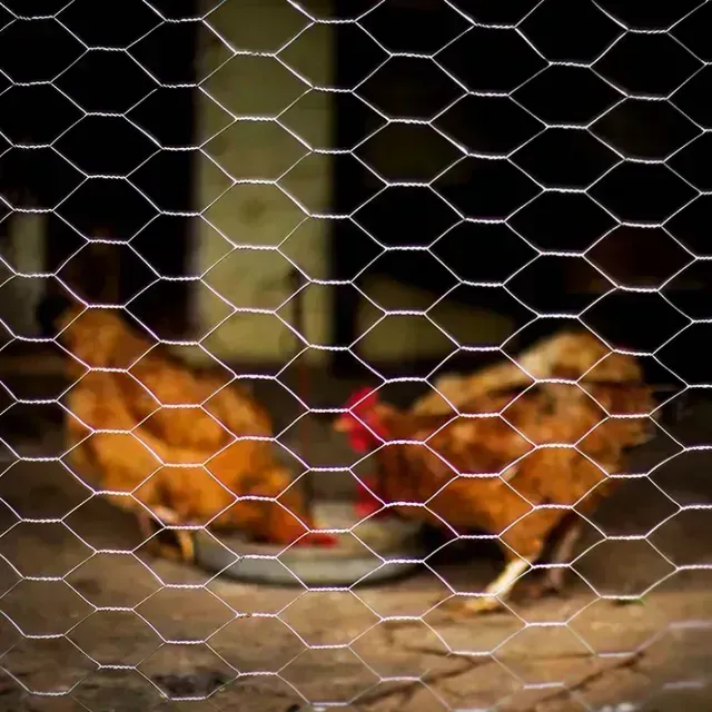 Promoção Tela de Galinheiro Metálica Hexagonal Fio 23 1,5m 50 Metros Vonder