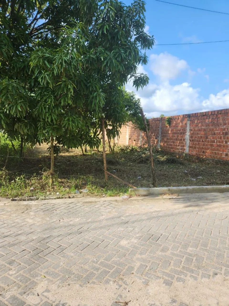 Terreno 10x30 em abreu e lima (Inhama) - Foto 3