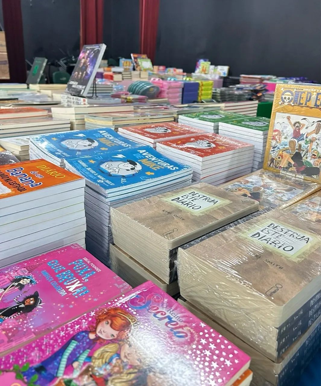 Oportunidade Única: Venda de Empresa de Feiras de Livros em Escolas - Foto 5