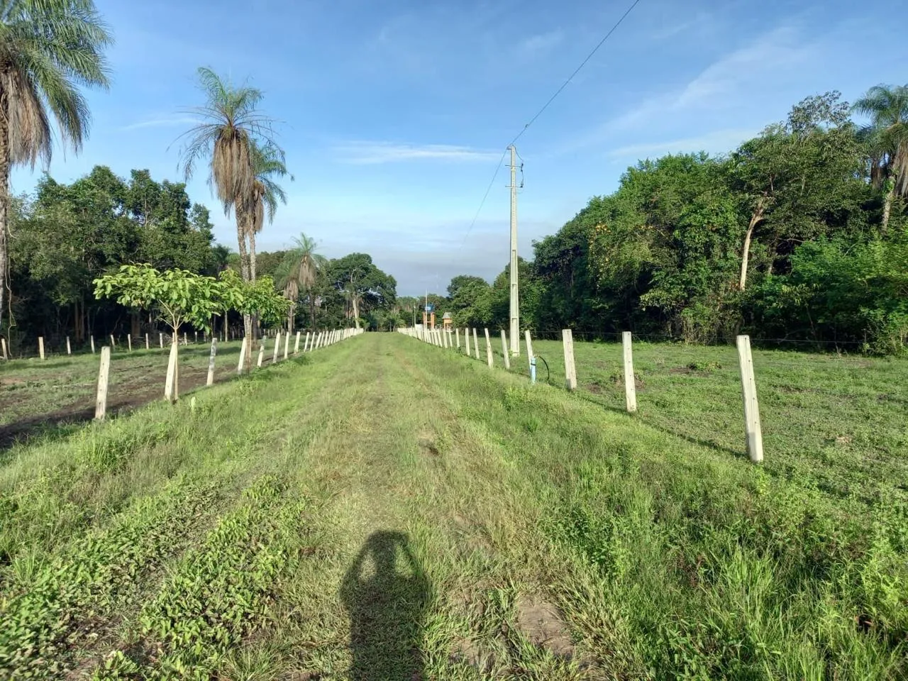 FAZENDA 175 ALQUEIRAO 110 ALQUEIRAO DE PASTO BEIRO DOMRIO JAVAÉ