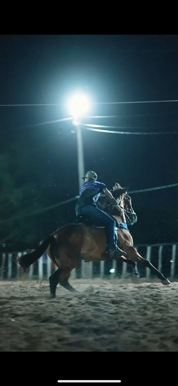 Cavalo de direita