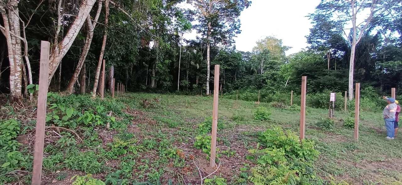 Vendo Terreno no Cipoal 20x100