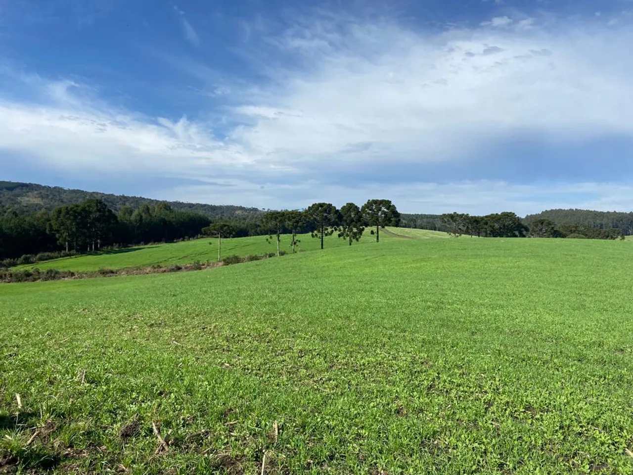 Fazenda à venda em Urubici/ Bom Retiro/ Serra Catarinense
