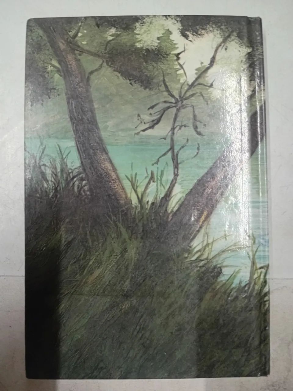 o ultimo dos moicanos - Foto 2