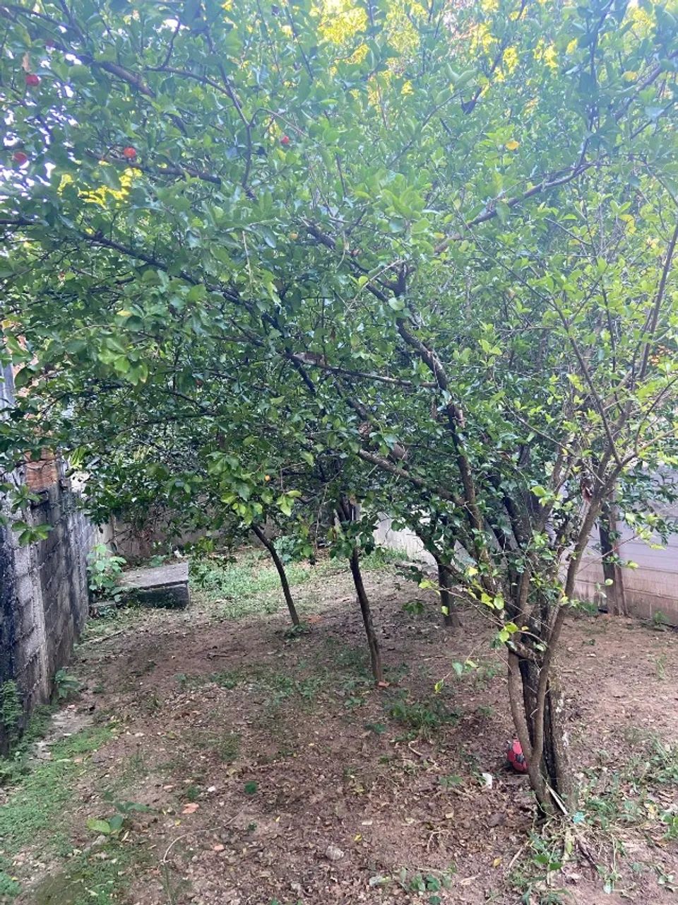 foto - São José dos Campos - Vila Iracema
