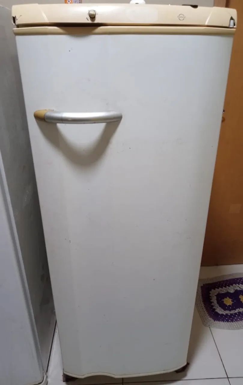 Vendo geladeira 