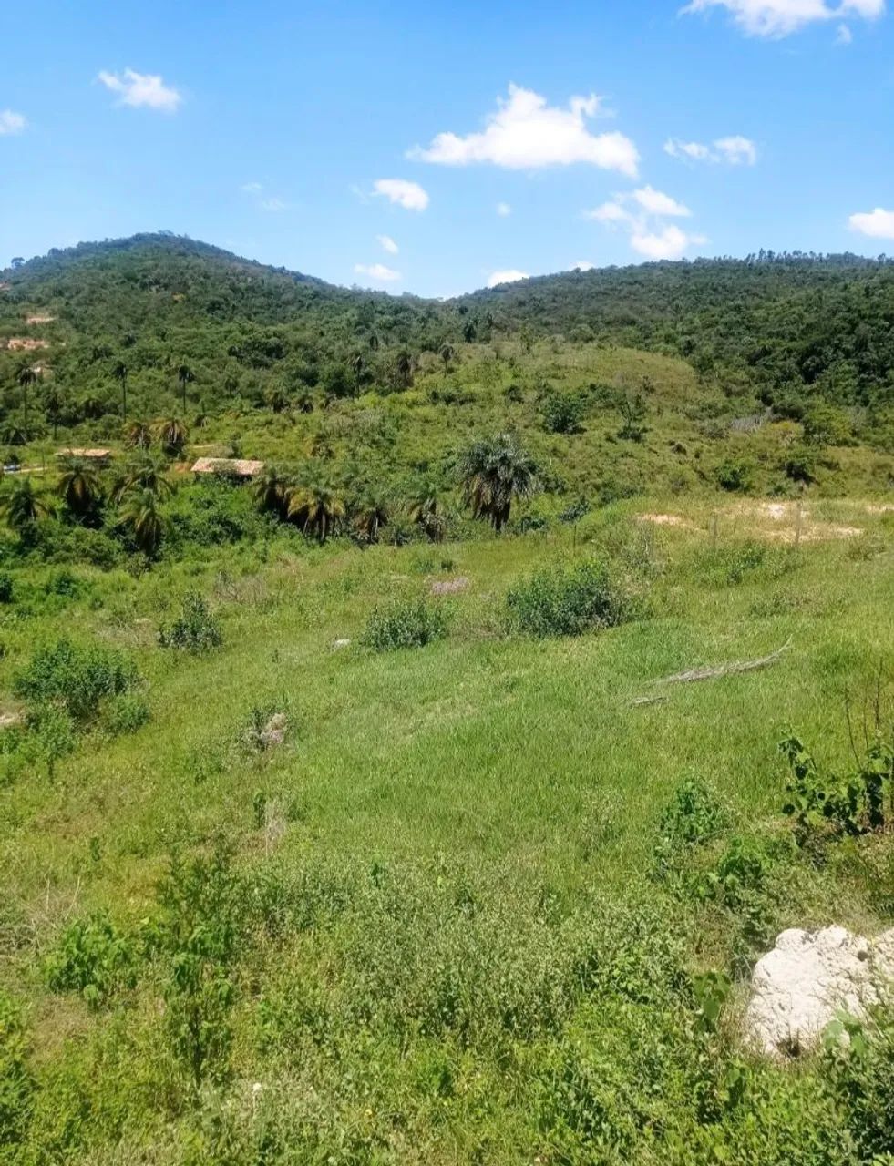 Terreno de 6.700m² / Taquaraçu de Minas  - Foto 4