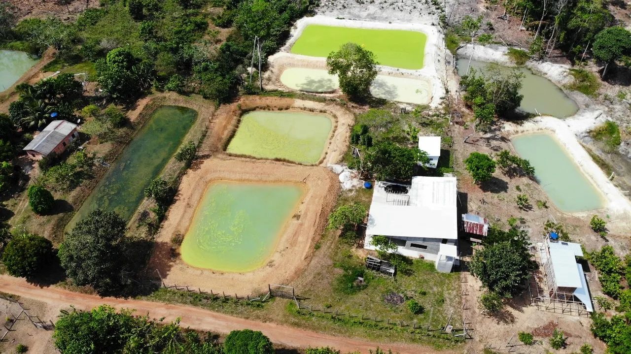 Sítio Manacapuru  - Foto 8