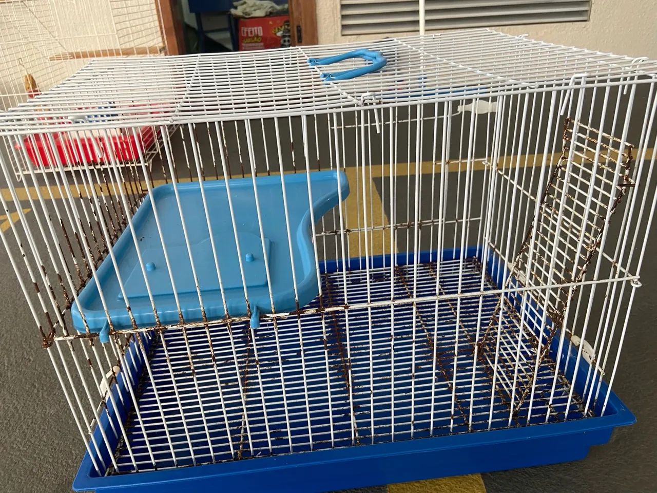 Gaiola roedores maiores( Twister, chinchila, etc) - Foto 2