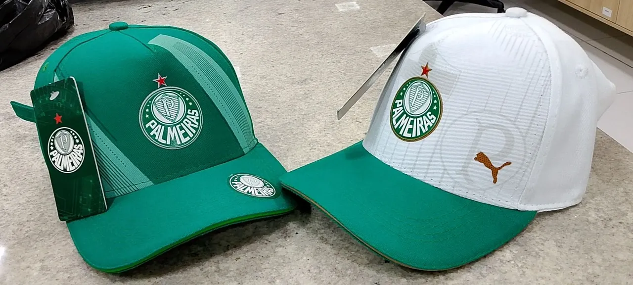 Boné Palmeiras Puma - Verde e Branco